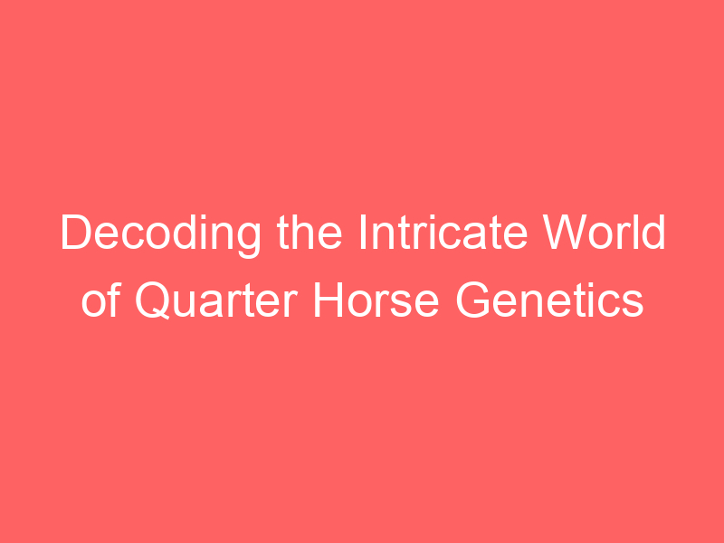 Decoding the Intricate World of Quarter Horse Genetics