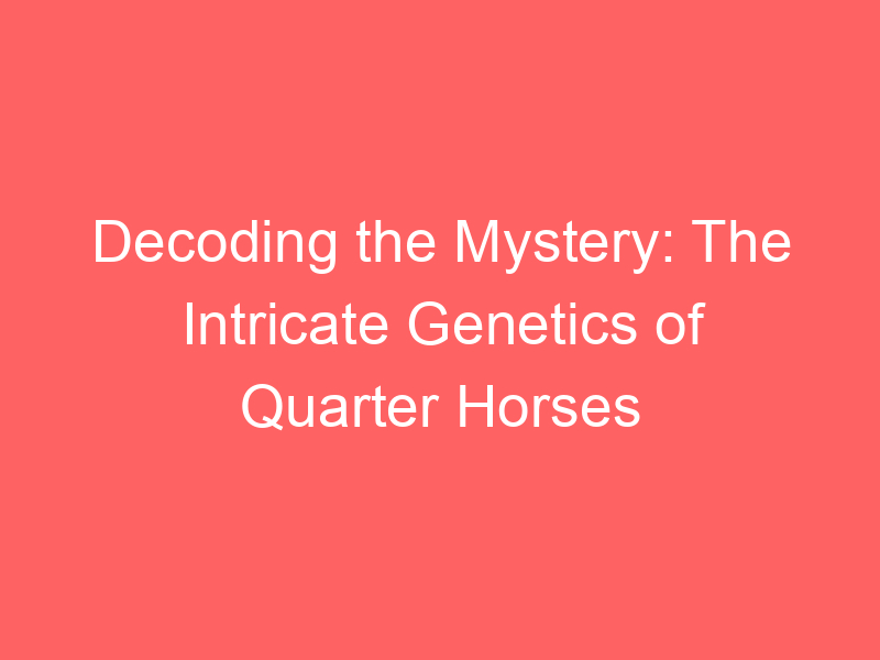 Decoding the Mystery: The Intricate Genetics of Quarter Horses