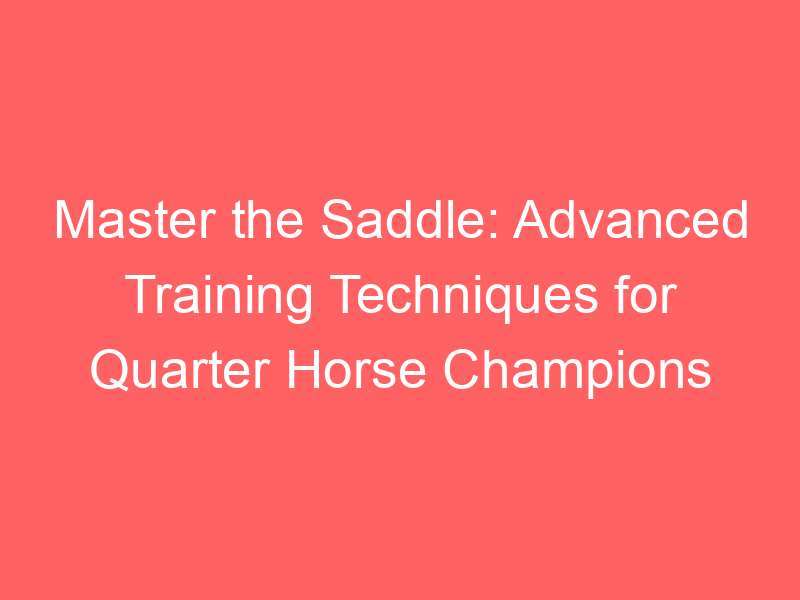 Master the Saddle: Advanced Training Techniques for Quarter Horse Champions