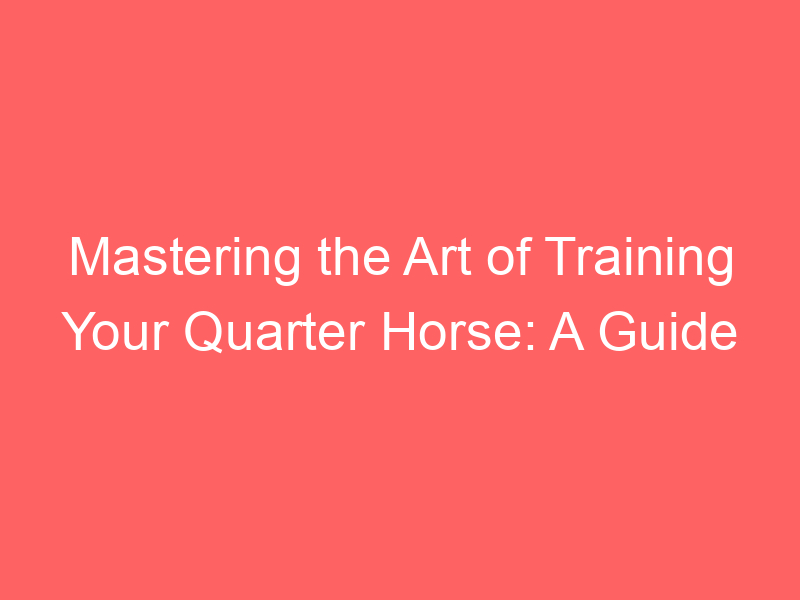 Mastering the Art of Training Your Quarter Horse: A Guide