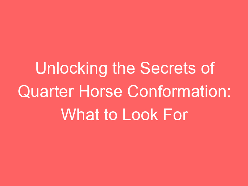 Unlocking the Secrets of Quarter Horse Conformation: What to Look For
