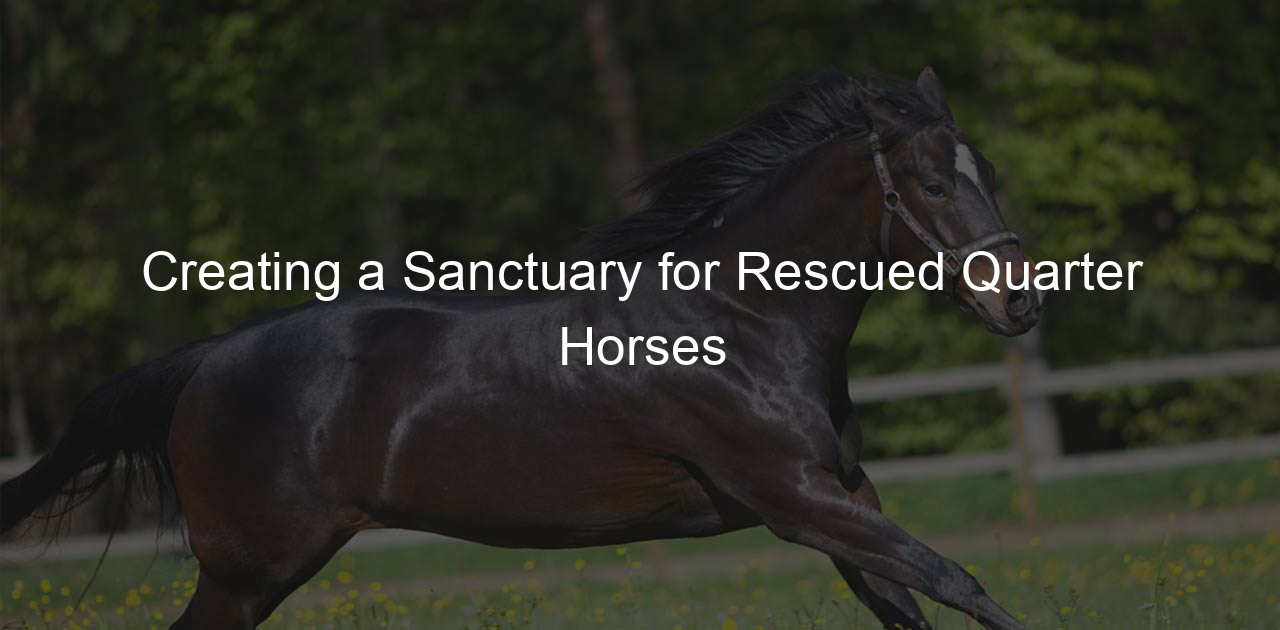 Creating a Sanctuary for Rescued Quarter Horses - NY Horse Rescue